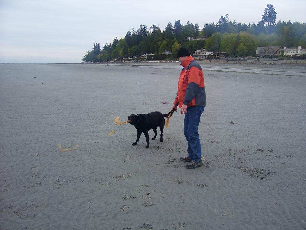 At Nautica Tigh Private Keypad Entrances Bed and Breakfast Qualicum Beach Buitenkant foto