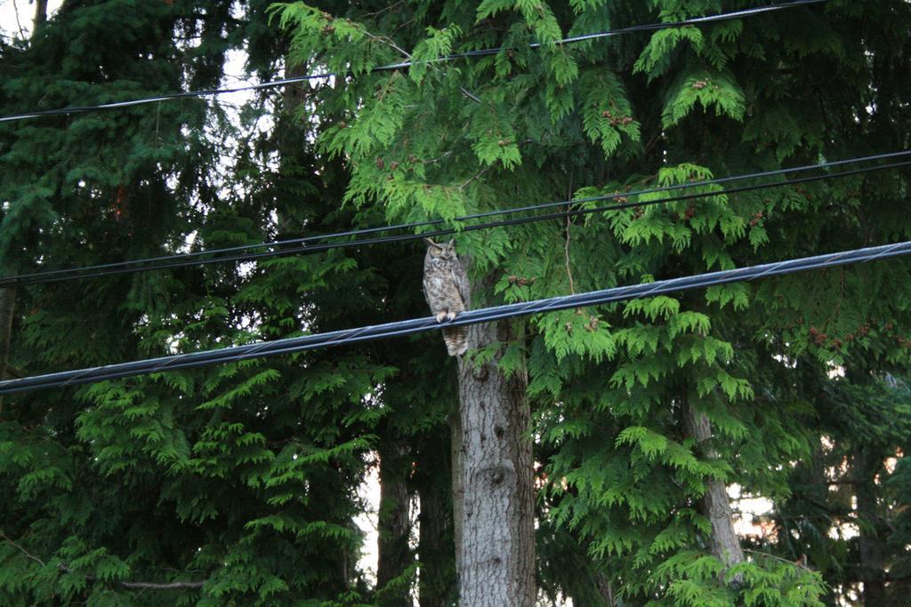 At Nautica Tigh Private Keypad Entrances Bed and Breakfast Qualicum Beach Buitenkant foto